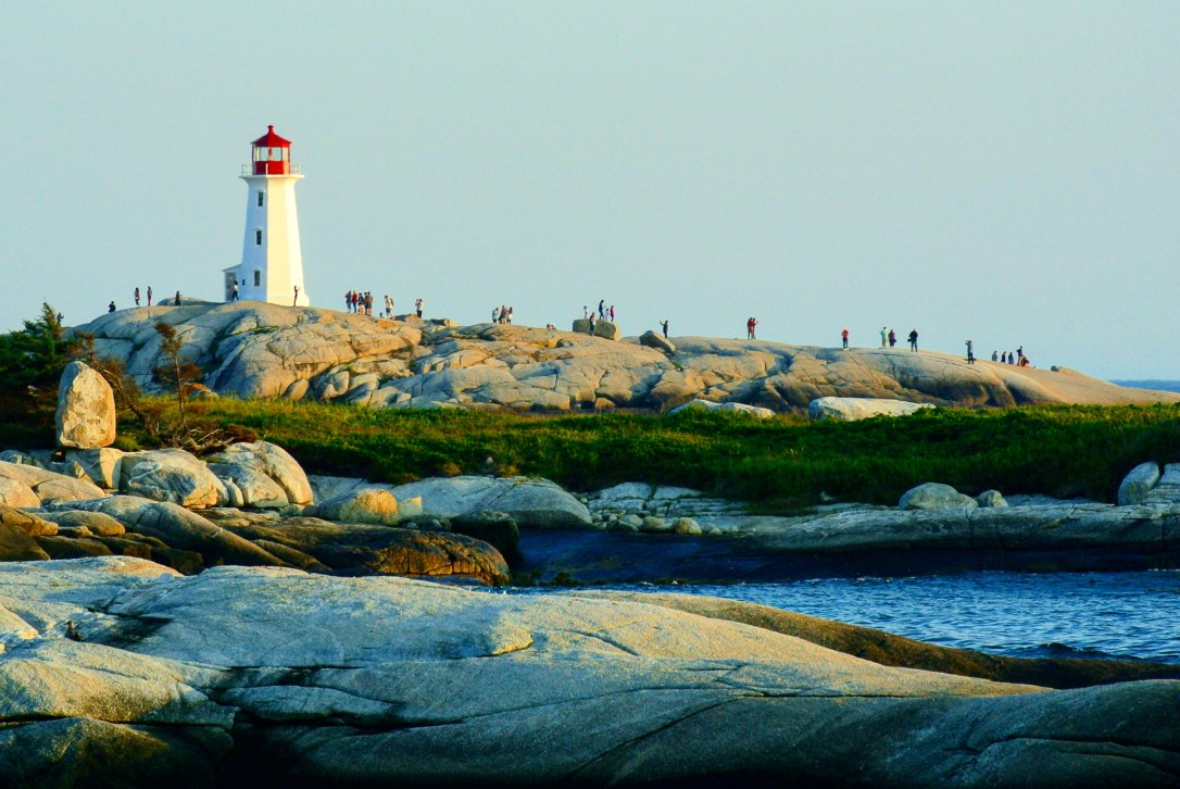 PEGGYSCOVE